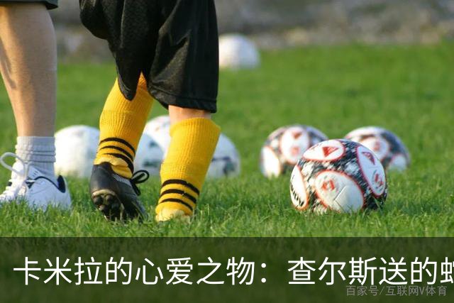 卡米拉的心爱之物：查尔斯送的蛇形项链，戴了20多年和她绝配